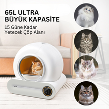 Akıllı Kedi Tuvaleti