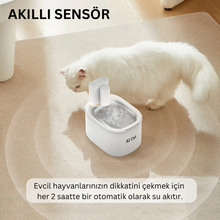 Akıllı Su Kabı - Alfa