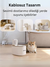 Akıllı Su Kabı - Alfa Plus