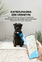 AI Cat Tag Akıllı Evcil Hayvan Takip Cihazı (Beyaz) – Su/ Toz Geçirmez (iOS/Android),Airtag