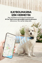 AI Cat Tag Akıllı Evcil Hayvan Takip Cihazı (Siyah) – Su/ Toz Geçirmez (iOS/Android),Airtag