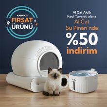 AI Cat Akıllı Kedi Tuvaleti ve Su Pınarı 2'li Set