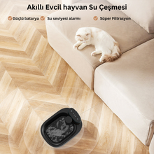 Akıllı Su Kabı - Alfa