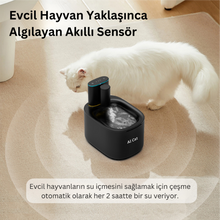 Akıllı Su Kabı - Alfa